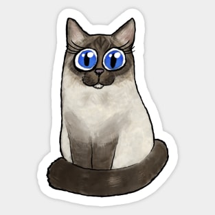 Cute holy burma cat Sticker